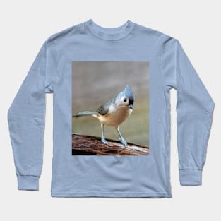 Sweet little bird on a log Long Sleeve T-Shirt